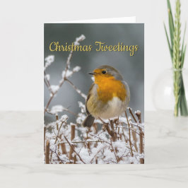 Weißes Weihnachten Winter-Robins