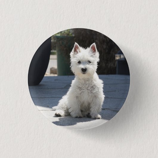 Weißes Westhochland Terrier, das auf Bürgersteig Button (Vorderseite)