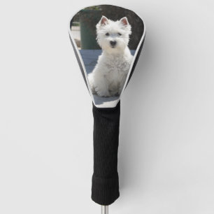 Weißes Westhochland Terrier, das auf Bürgersteig Golf Headcover