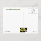 Weißes Wild-Violett-Koordinaten Postkarte (Rückseite)