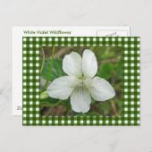 Weißes Wild-Violett-Koordinaten Postkarte (Vorne/Hinten)