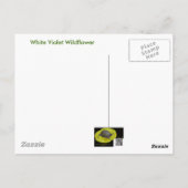 Weißes Wild-Violett-Koordinaten Postkarte (Rückseite)