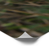 Weißes Wildblumen drucken Poster (Ecke)