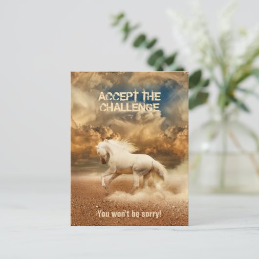 Weißes Wildpferd durch die Wüste - Sammelbar Postkarte (Stehend Vorderseite)