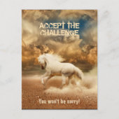 Weißes Wildpferd durch die Wüste - Sammelbar Postkarte (Vorderseite)