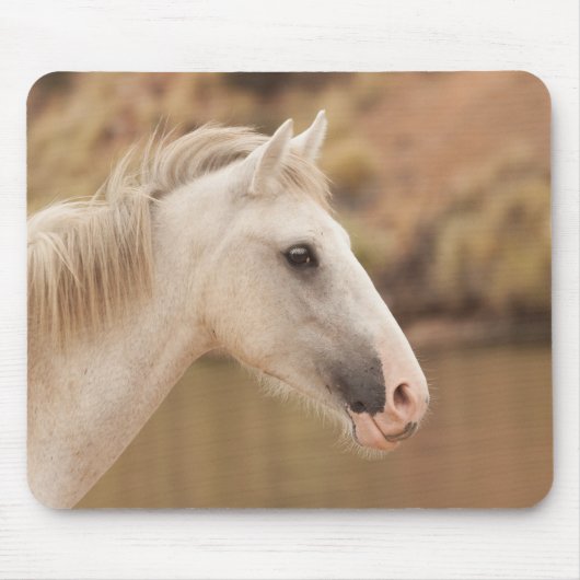Weißes WildPferd Mousepad (Vorne)