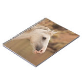 Weißes Wildpferd Notizblock (Linke Seite)