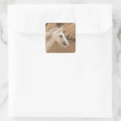 Weißes Wildpferd Quadratischer Aufkleber (Tasche)