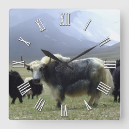 Weißes Yak in Ladakh/Tibet, Himalaya Quadratische Wanduhr