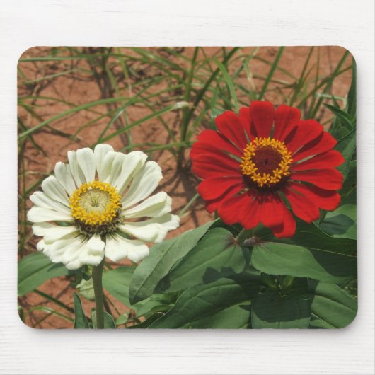 Weißes Zinnia und Rotes Zinnia Mousepad (Vorne)