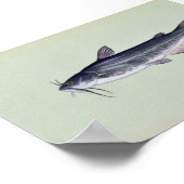 Weißfisch Poster (Ecke)
