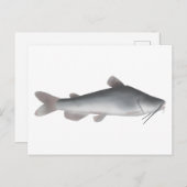 Weißfisch Postkarte (Vorne/Hinten)