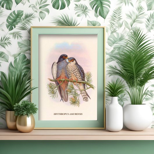 Weißflügelige Rotfußfalke Poster