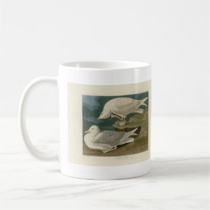 Weißflügelige Silbermöwe Audubon Birds of America Kaffeetasse