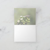 Weißflügeltaube Karte (Innenseite)