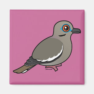 Weißflügeltaube Magnet