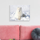 Weißfuchs Leinwanddruck (Insitu (Wohnzimmer))