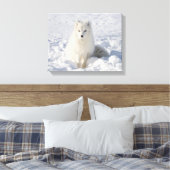 Weißfuchs Leinwanddruck (Insitu (Schlafzimmer))