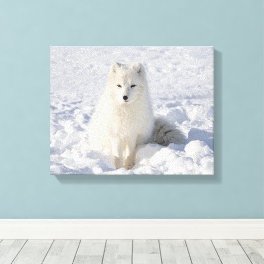 Weißfuchs Leinwanddruck (Insitu (Holzboden))