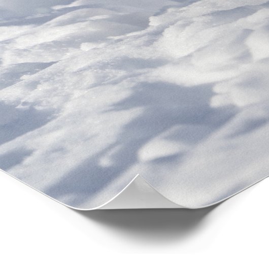 Weißfuchs Poster (Ecke)