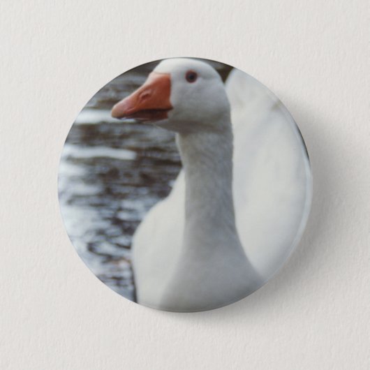 Weißgans Button (Vorderseite)
