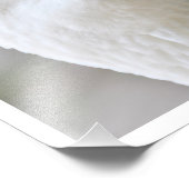 Weißgans Fotodruck (Ecke)