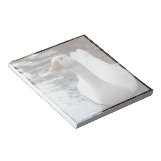 Weißgans Notizblock (angewinkelt)