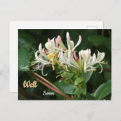 Weißgelbe Honigsuckle wird bald gut auf Postkarte (Vorne/Hinten)