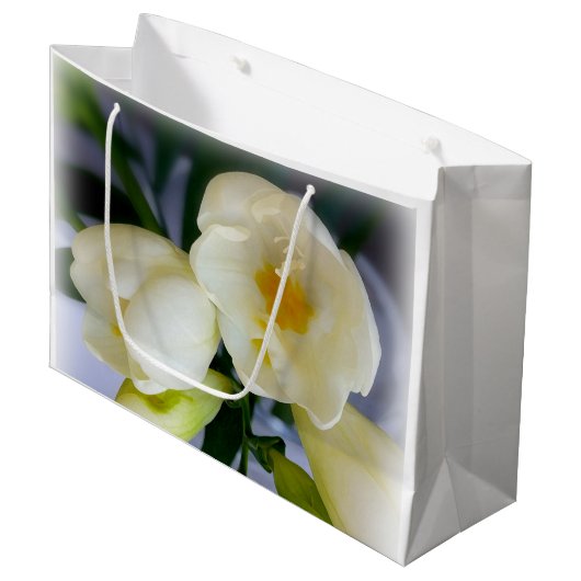 Weißgelber Gefrierpunkt Große Geschenktüte (Vorderseite Schrägansicht)