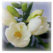 Weißgelbes Gefriermittel Fliese (Vorderseite)