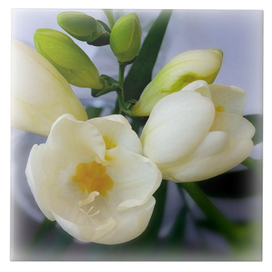 Weißgelbes Gefriermittel Fliese (Vorderseite)