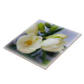 Weißgelbes Gefriermittel Fliese (Seite)