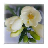 Weißgelbes Gefriermittel Fliese (Vorderseite)