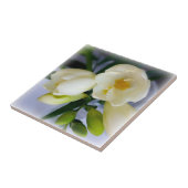 Weißgelbes Gefriermittel Fliese (Seite)