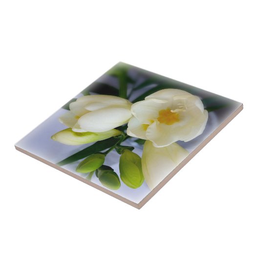 Weißgelbes Gefriermittel Fliese (Seite)