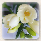 Weißgelbes Gefriermittel Getränkeuntersetzer (Vorderseite)