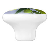 Weißgelbes Gefriermittel Keramikknauf (Seitenansicht)