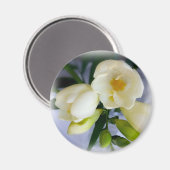 Weißgelbes Gefriermittel Magnet (Vorderseite/Rückseite)