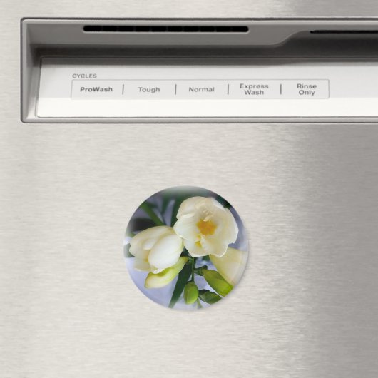 Weißgelbes Gefriermittel Magnet (In Situ (Geschirrspüler))