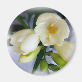 Weißgelbes Gefriermittel Magnet (Vorne)