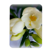 Weißgelbes Gefriermittel Magnet (Vertikal)