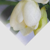 Weißgelbes Gefriermittel Seidenpapier (Ausschnitt)