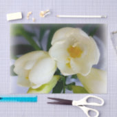 Weißgelbes Gefriermittel Seidenpapier (Handwerk)