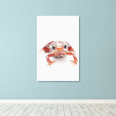 Weißgestreifter Giftdarmfrosch (Epipedobate) Leinwanddruck (Insitu (Holzboden))
