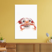 Weißgestreifter Giftdarmfrosch (Epipedobate) Leinwanddruck (Insitu (Wohnzimmer))