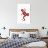 Weißgestreiftes Gift-Dart-Frosch Leinwanddruck (Insitu (Schlafzimmer))