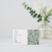 Weißgras Visitenkarte (Stehend Vorderseite)