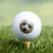 Weißhaarengütenportrait Golfball (Insitu T-Shirt)