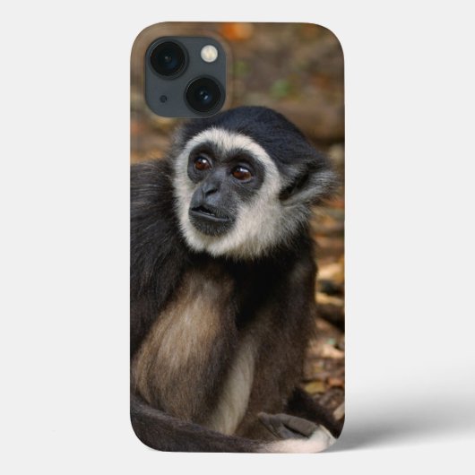 Weißhandgeschmack (Hylobates Lar), Monkeyland Case-Mate iPhone Hülle (Rückseite)