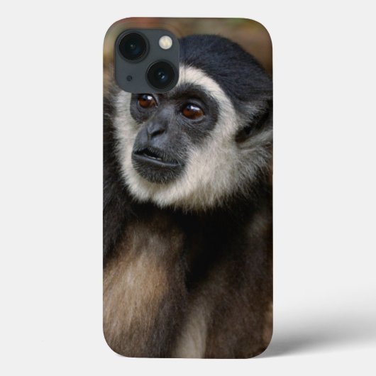 Weißhandgeschmack (Hylobates Lar), Monkeyland Case-Mate iPhone Hülle (Rückseite)